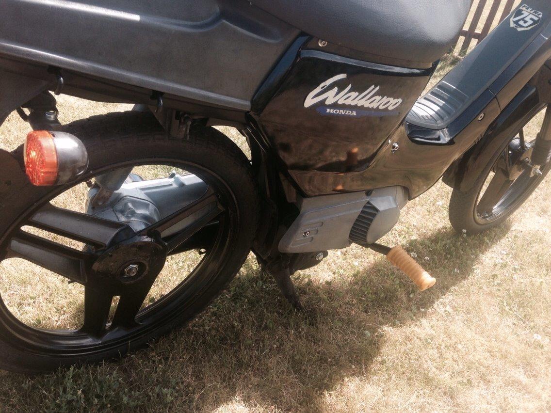 Honda Wallaroo Deluxe billede 11