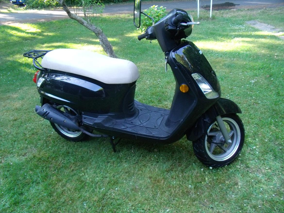 Sym FIDDLE 2 billede 1