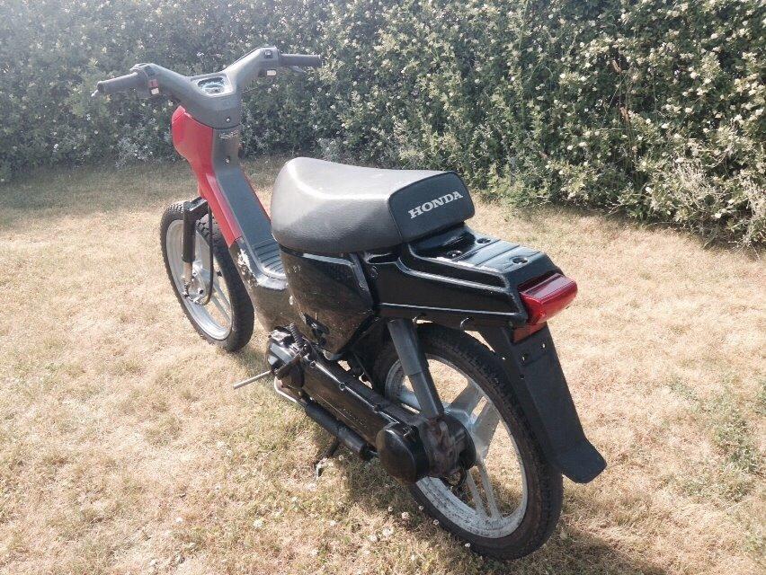 Honda Wallaroo billede 4