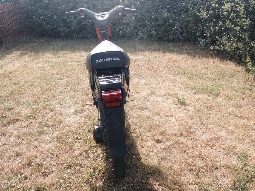 Honda Wallaroo billede 5