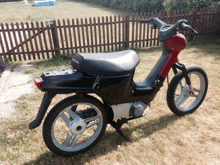 Honda Wallaroo billede 6