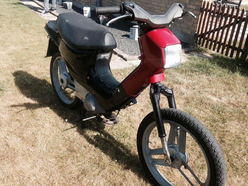 Honda Wallaroo billede 8