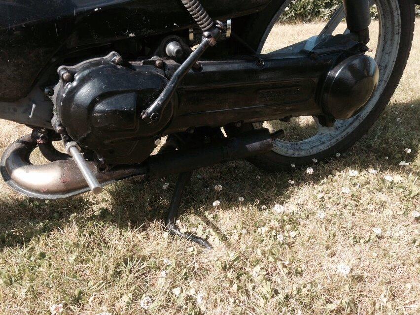 Honda Wallaroo billede 9