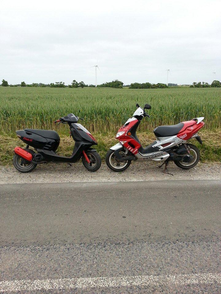 Peugeot Speedfight 2 - Den dejlige sonic og min Speedfighter billede 13