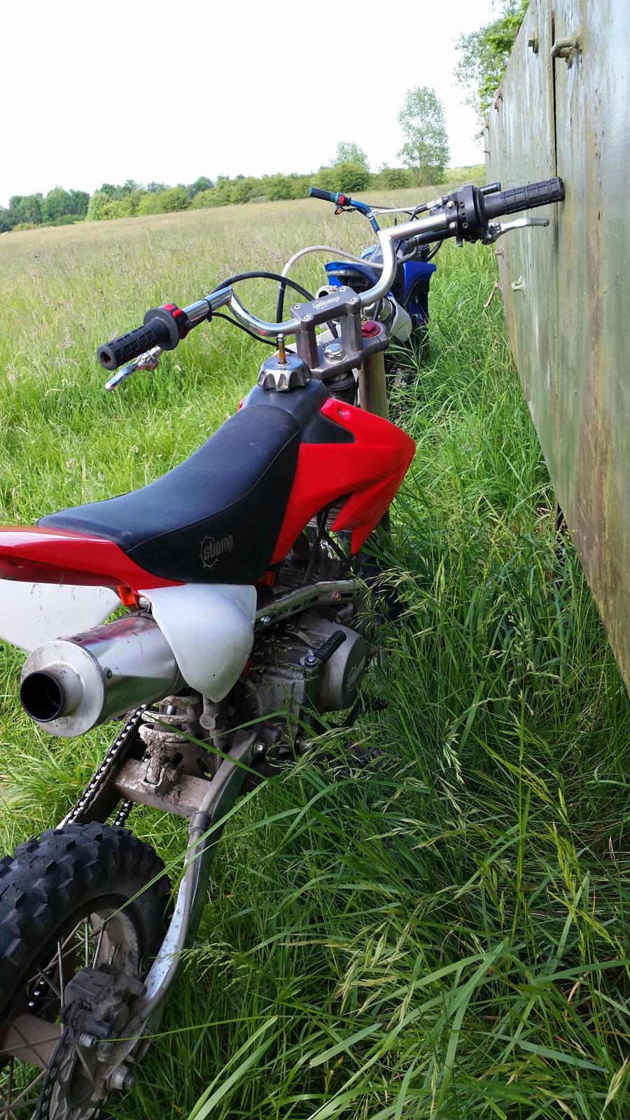 Pitpro Stomp 150cc billede 6