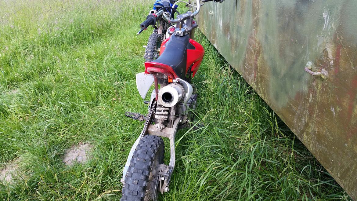 Pitpro Stomp 150cc billede 3