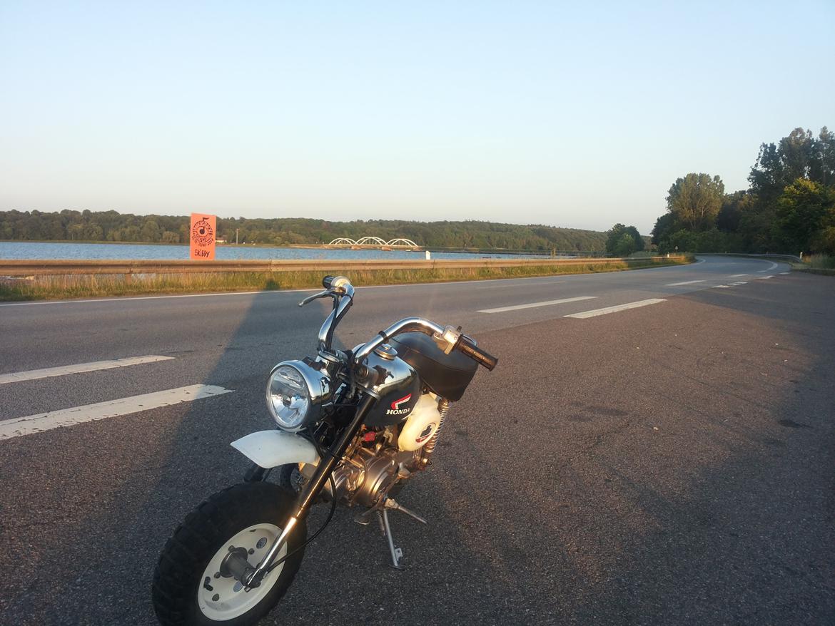 Honda Monkey Z50J billede 4