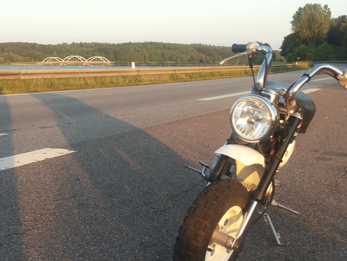 Honda Monkey Z50J billede 5