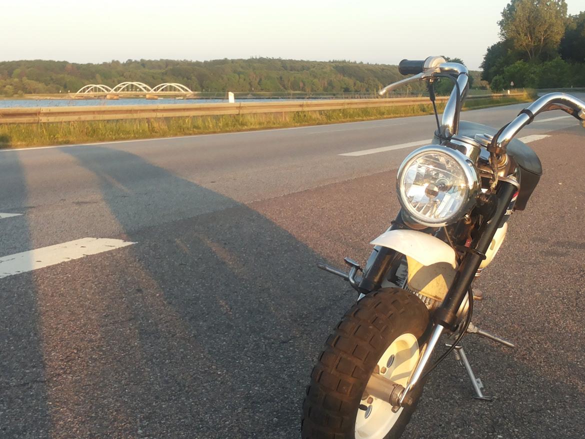 Honda Monkey Z50J billede 6