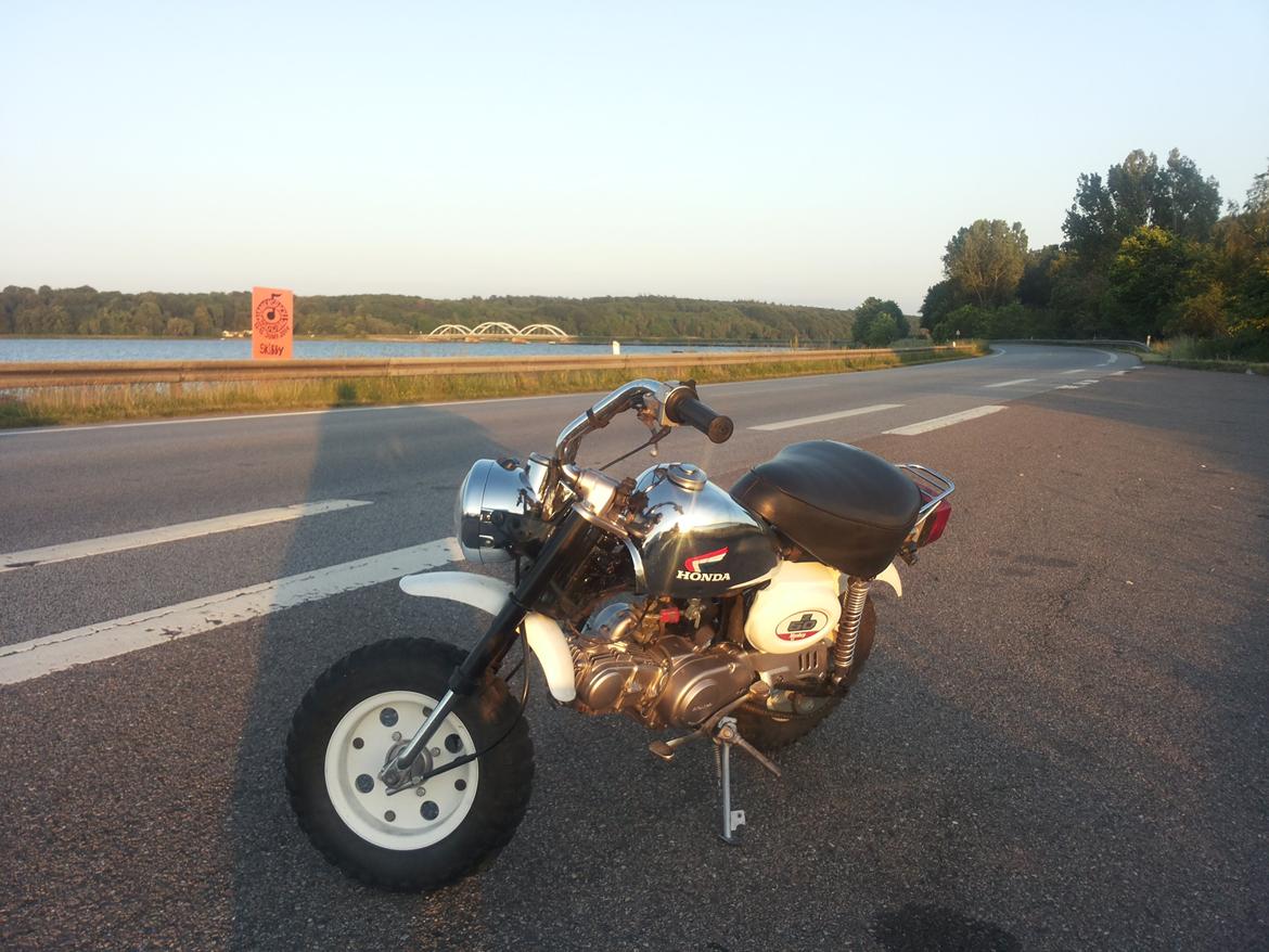 Honda Monkey Z50J billede 7