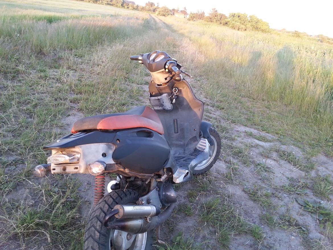 PGO PMX SPORT 70cc billede 3