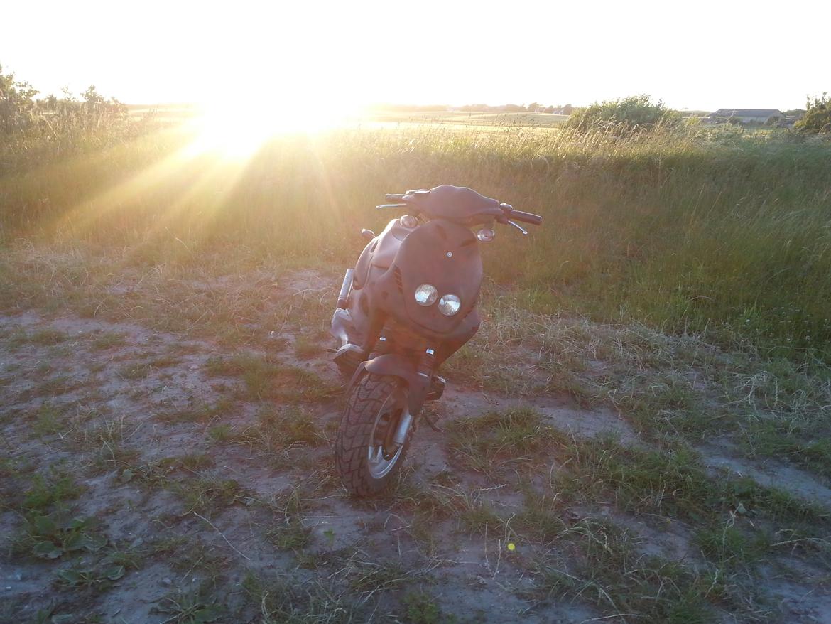 PGO PMX SPORT 70cc billede 1