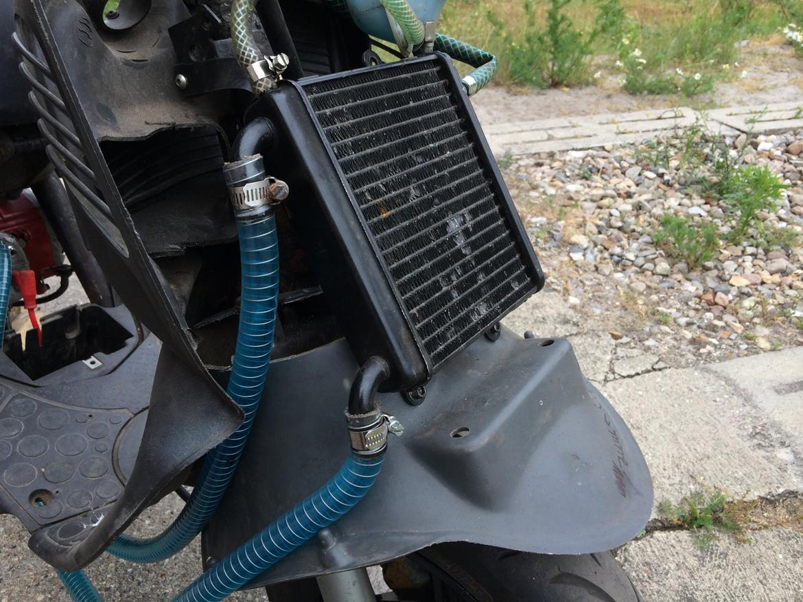 Aprilia sonic (rotten) billede 7