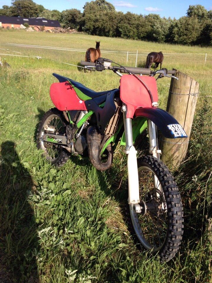 Kawasaki Kx 125 billede 12