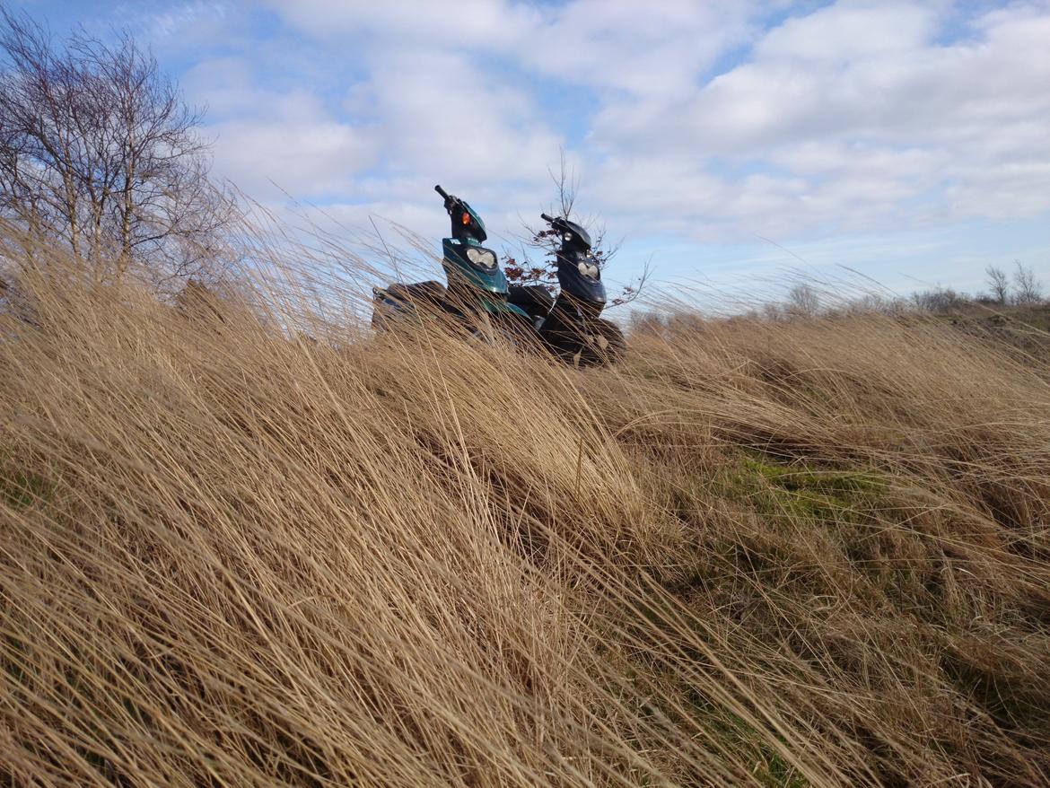 PGO Hot 50 billede 7