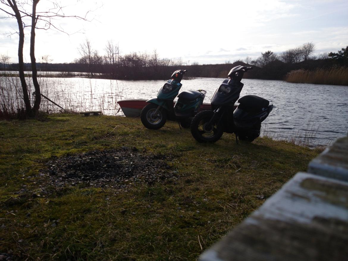 PGO Hot 50 billede 6