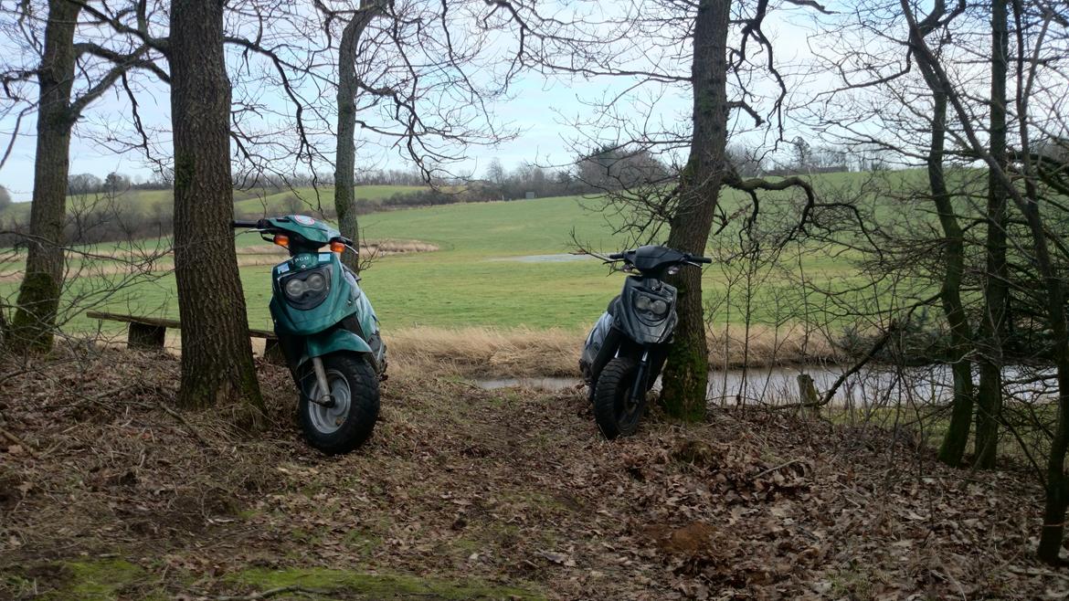 PGO Hot 50 billede 8