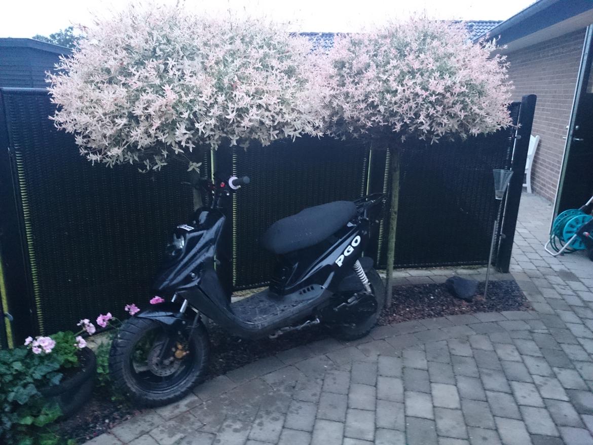 PGO Hot 50 billede 23