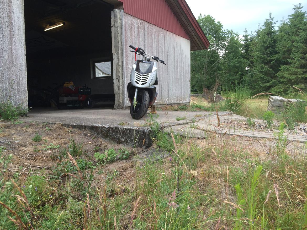 Aprilia sonic (rotten) billede 14