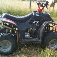 MiniBike 50cc ATV (under ombygning)