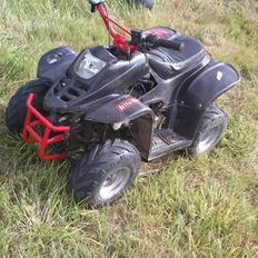 MiniBike 50cc ATV (under ombygning)