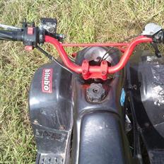 MiniBike 50cc ATV (under ombygning)