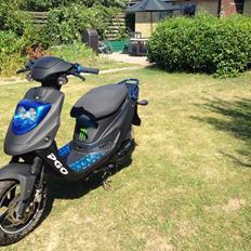 PGO Hot 50 12¨ 6eger