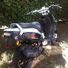 PGO pmx naked