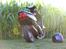 Yamaha Jog R