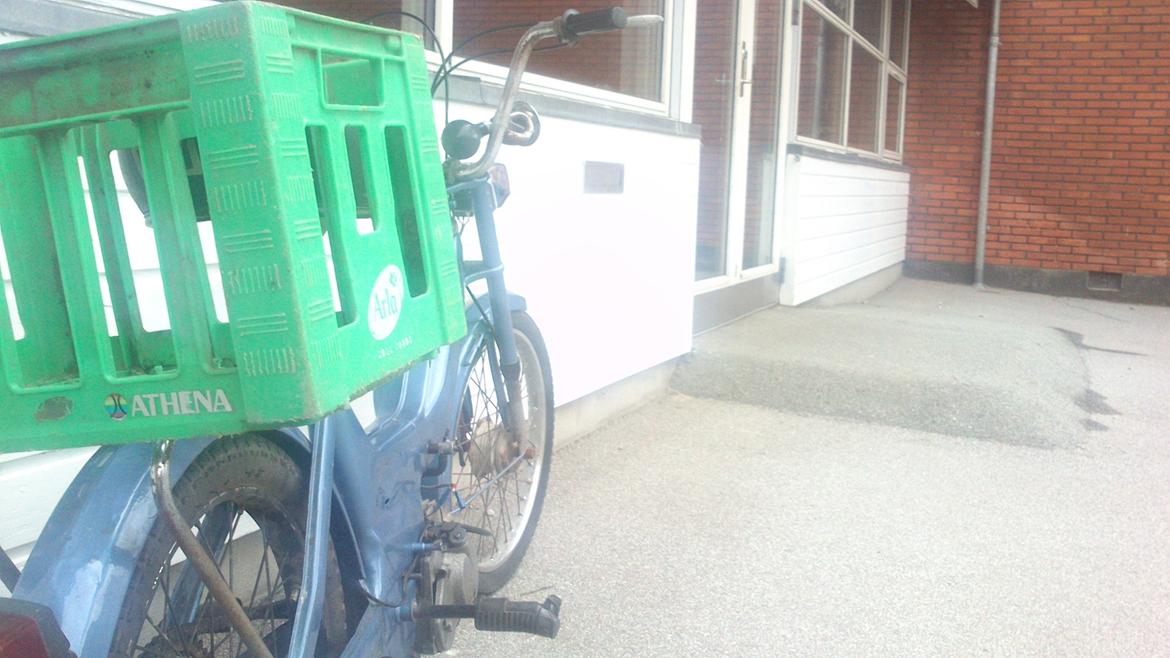 Puch Maxi P billede 6