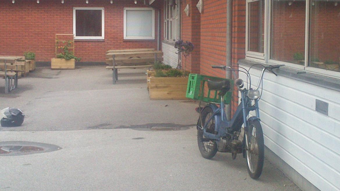 Puch Maxi P billede 7