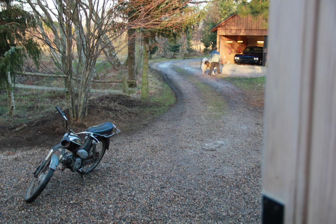 Puch Ms 50 billede 13