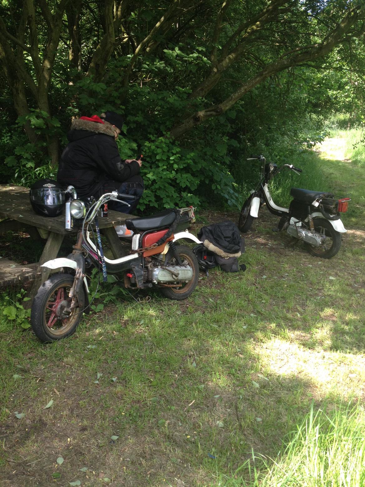 Suzuki Fz50 billede 5