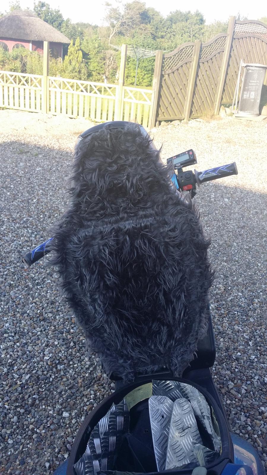 Yamaha Jog R billede 13