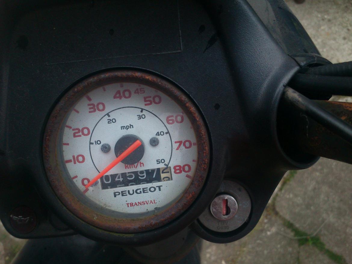 Peugeot FOX for speedake og havefræser billede 4