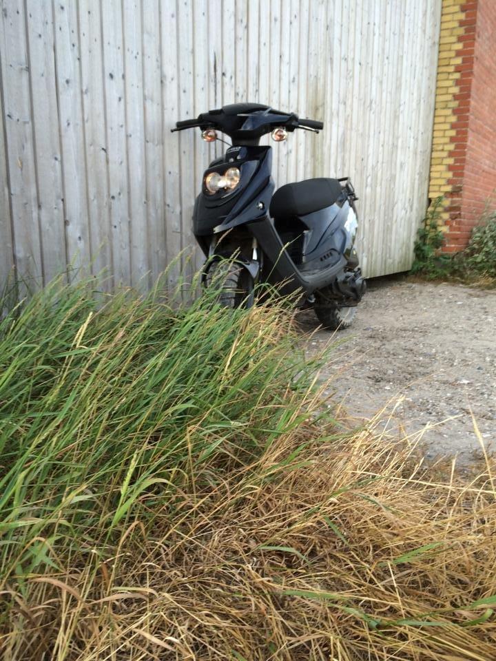 PGO Hot 50 billede 6