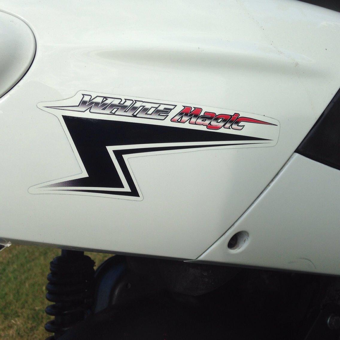 PGO White magic billede 15