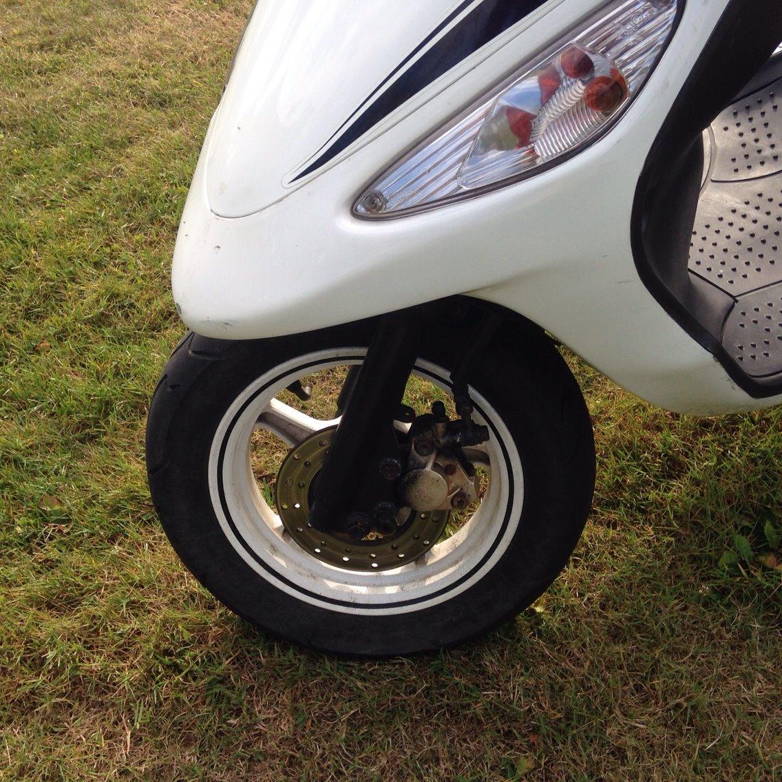 PGO White magic billede 18