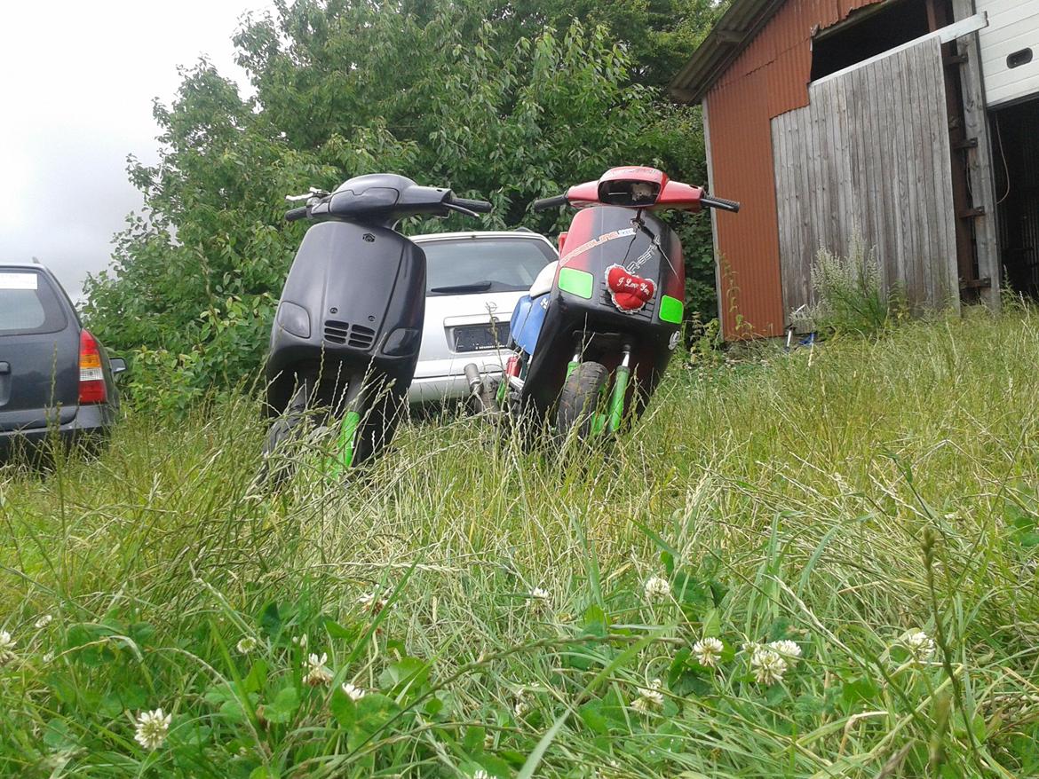 Piaggio Old Zip billede 10