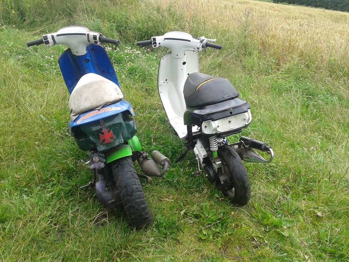 Piaggio Old Zip billede 13