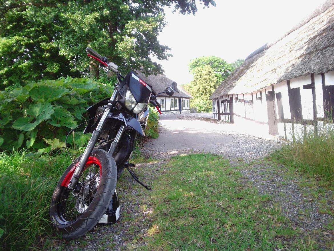 Derbi Senda (solgt) billede 8
