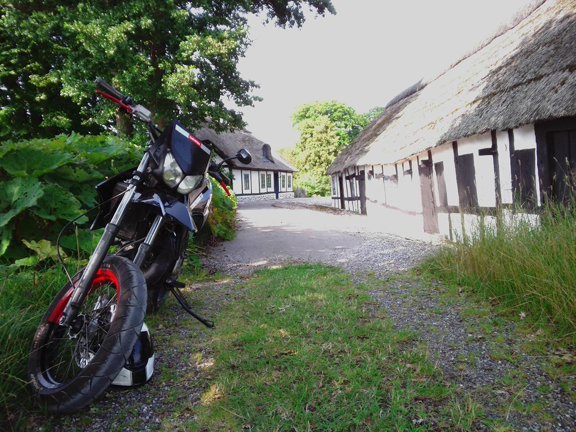 Derbi Senda (solgt) billede 9