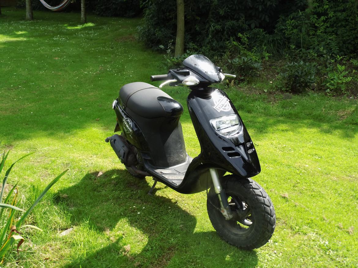 Piaggio Typhoon billede 8