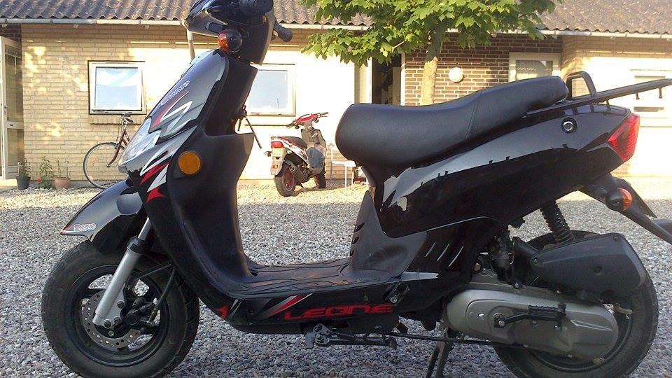 Leone Swan billede 5