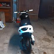 PGO Black/White Magic