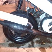 PGO Black/White Magic