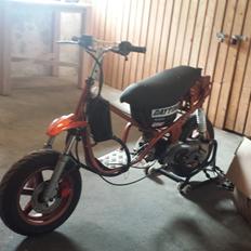 Keeway - (Team LongWood) - SOLGT