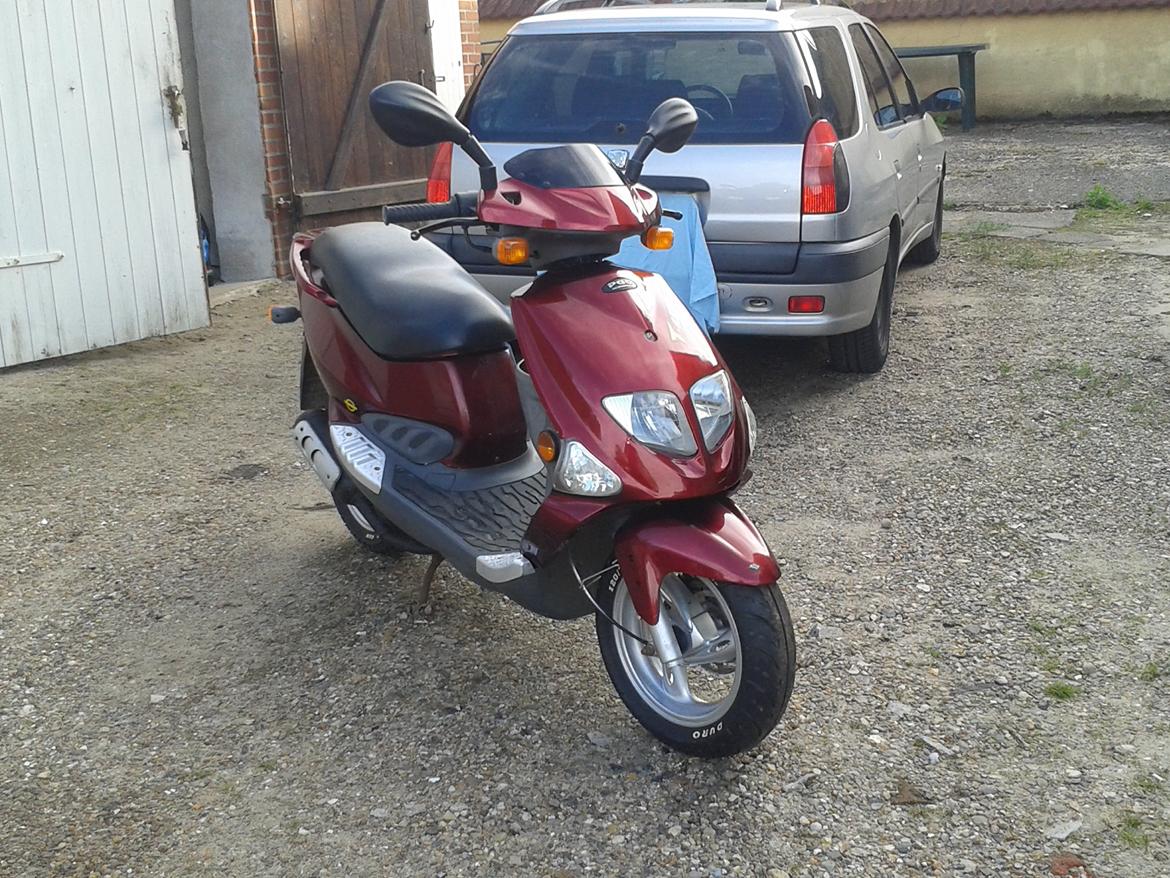 PGO t-rex 45 (Solgt) billede 7