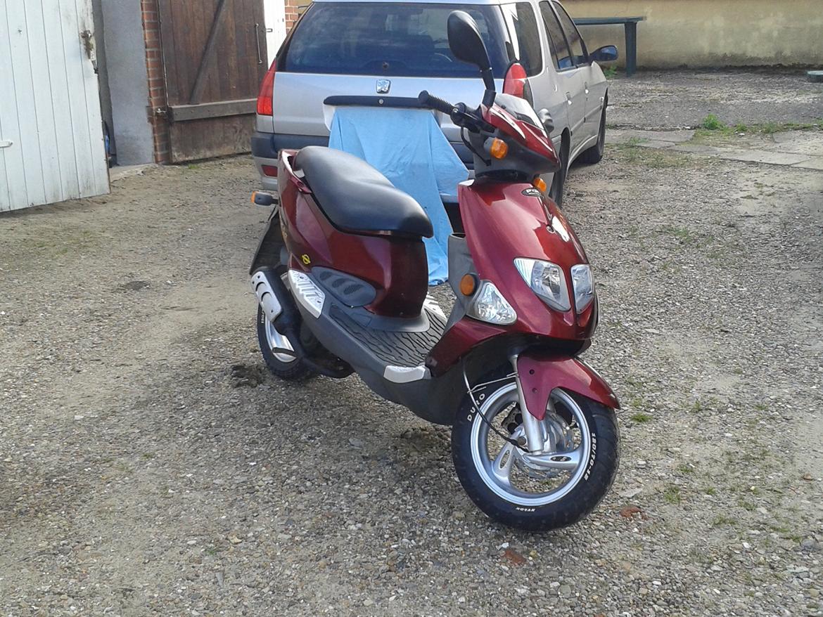 PGO t-rex 45 (Solgt) billede 18