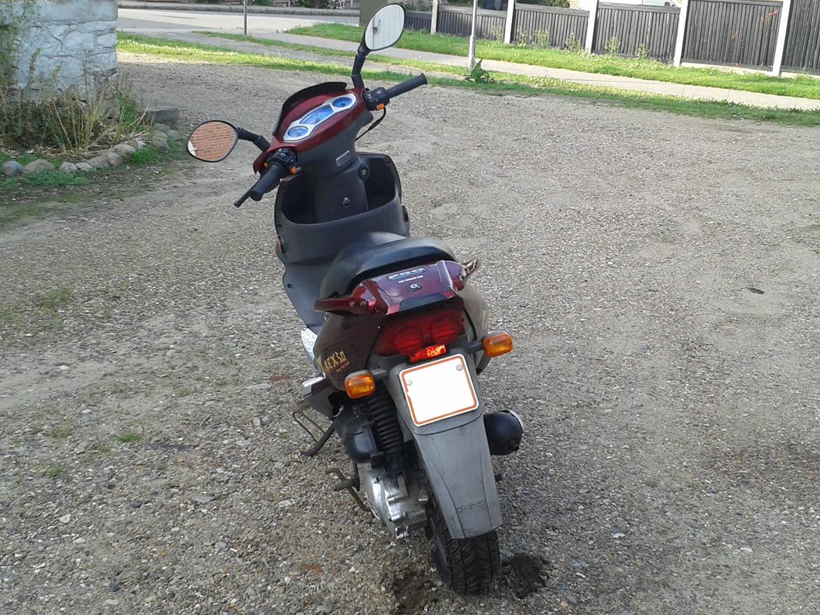 PGO t-rex 45 (Solgt) billede 20